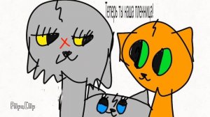 Коты воители:стань диким в двух словах