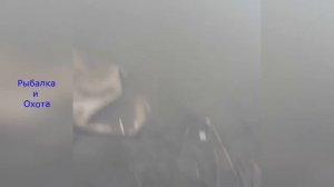 Удивительный улов  Вот это Рыбалка  #68