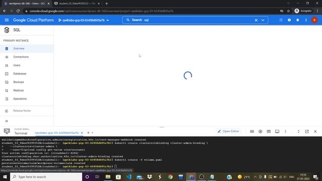 Facing problem! in the Secure Workloads in Google Kubernetes Engine: Challenge Lab ! watch this