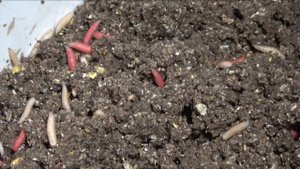 Рыбалка с ночевкой в Липецкой области как в Астрахани