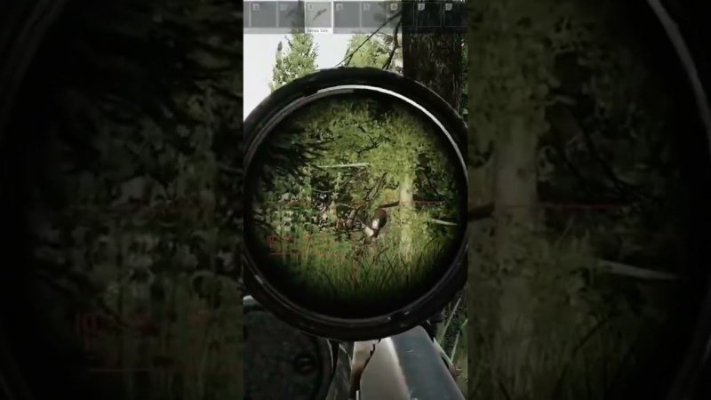 escape from tarkov