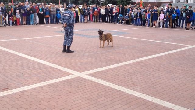 День пограничника в Самаре. смотреть онлайн