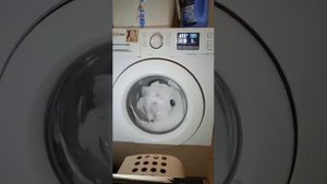 Samsung WF80 - Massive sudslock (puking and SUD code) @SamsungLad2005