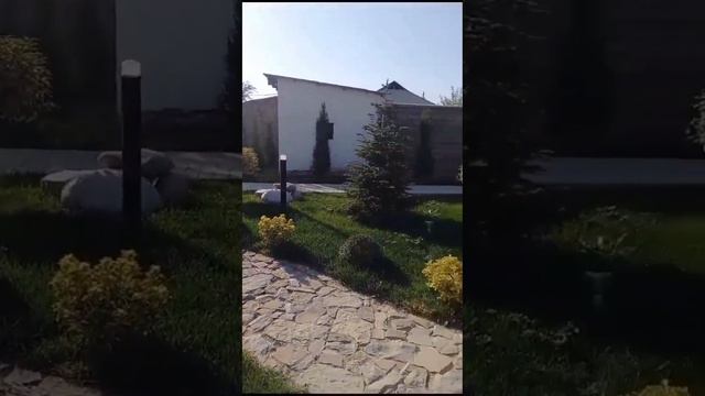 Умар Кремлев Ба Шахринав ? Омад Фабрикада Калон Оши Нахор Додак Тамошо Кунен ? Дустон