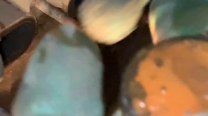 Замена заглушек в рубашке охлаждения блока ( меняем пробки на блоке)