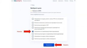 Пошаговая инструкция по подаче заявления в ФСС через госуслуги