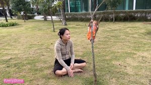 Monkey Diana went outside to play, pooped pants, ran away from her mother in shame