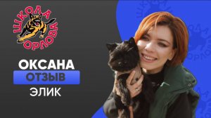 Если учиться, то только в «Школе Орлова»