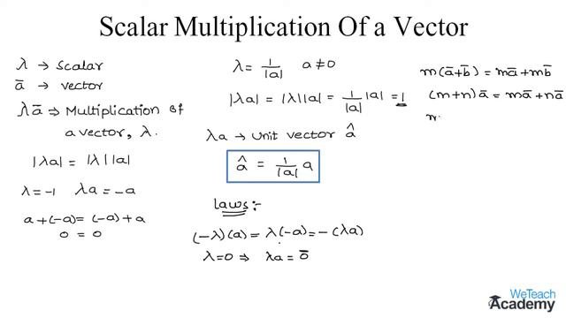 006-Introduction To Scalar Multiplication Of A Vector ⧸ Vector Algebra ⧸ Maths Algebra