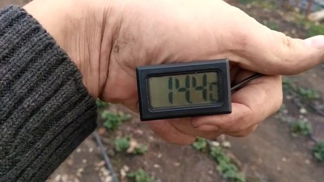 Теплица в теплице,отопление ,буржуйка смотреть онлайн