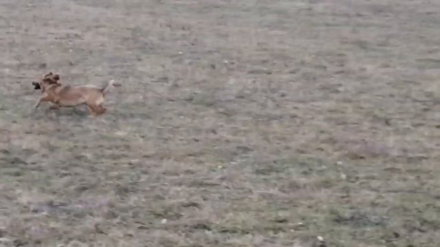 Погода в Апшеронске 9 и 10 января /жизнь на Юге. смотреть онлайн