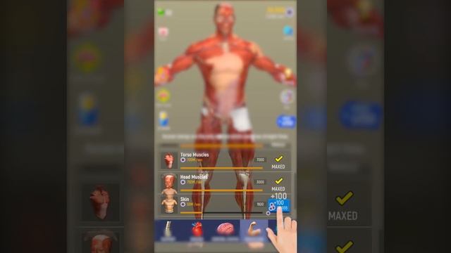 Idle Human - Learn about the human body through a Game !