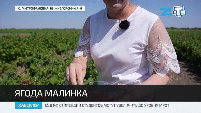 Нижнегорский митрофановка. Митрофановка Нижнегорский район малина.