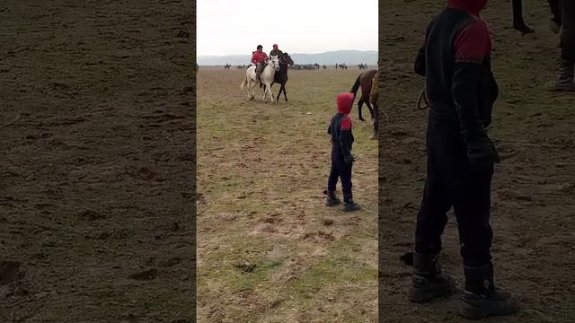 баромади бобоҷон Девонаев смотреть онлайн