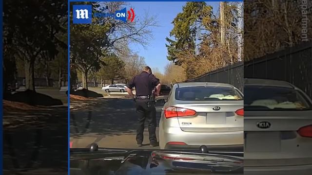 This is what happens if you refuse to show your ID to a Nazi NWO cop