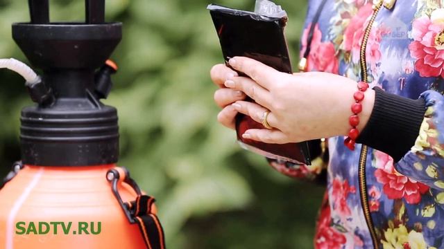 Мучнистая роса на смородине / Как избавится от мучнистой росы на смородине био препаратами смотреть онлайн