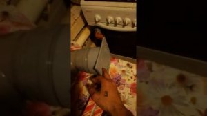 Кварцевая лампа в курятник