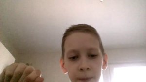 как сделать какао без молока