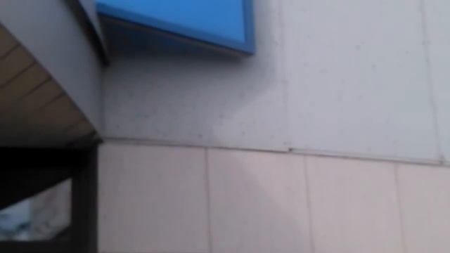 Атака Coccinellidae на Новосибирск )) смотреть онлайн