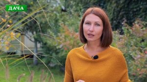 ДЕКОРАТИВНЫЕ ТРАВЫ И ЗЛАКИ в саду: виды, особенности посадки и уход