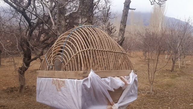 Голос горная куропатка Садои Наркабк 2023 смотреть онлайн