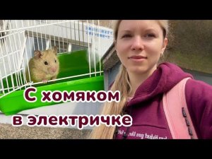 Vlog. Первое путешествие хомяка Валеры  Едем к родителям в деревню