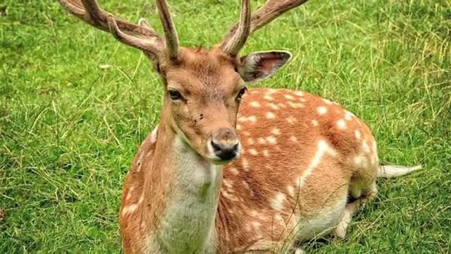 Kajal Ragavani ka chat git смотреть онлайн