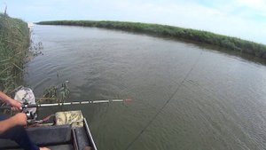 Окунь в Темрюкских лиманах на куски рыбы
