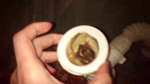 Сифон для умивальника - Гайка згнила