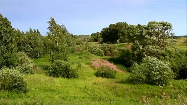 Деревенька моя Муз Н.Кудрина, ст В.Гундарева ,исп Г.Погорельская-под мой баян.mp4