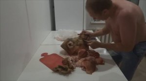 Холодец из головы свиньи. Часть #1