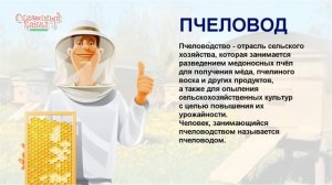 Изучаем профессии. Обучающее видео для детей.