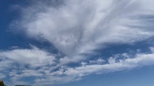 В ритме лета 2023