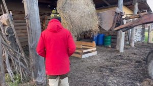 ТЕНТ ДЛЯ СЕНА | ЖИЗНЬ В ДЕРЕВНЕ