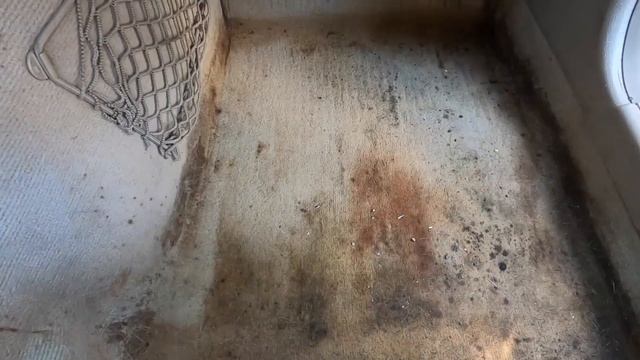 Interior Detailing Process / SOME STAINS NEVER COME OUT! #RealDetailing #DetailingTips смотреть онлайн