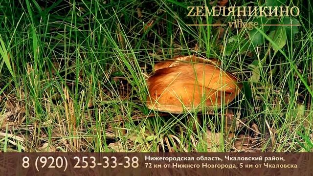 Закрытый поселок, где можно купить готовые дома Premium класса или построить дом своей мечты.