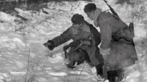 ПОГРАНИЧНАЯ НОВОГОДНЯЯ муз. Юрий  Безруков ст. Игорь Ширяев исполняет Юрий Безруков