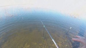 Ловля карася. Лучшие моменты с рыбалок.