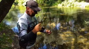 #наноджиг #краснопёрка #голавль #окунь