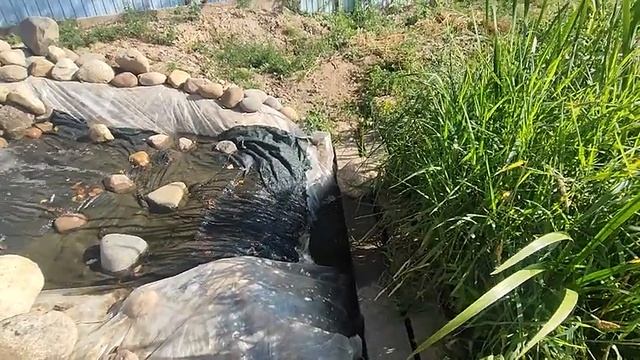 Наконец то фильтрация пруда в 240м³ заработала. Продолжаю строить планы. это самое простое