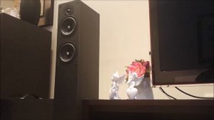 Cambridge Audio S70 & S50 Speakers with Pioneer VSX-828-K Receiver