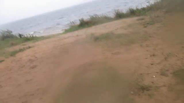 гуляем по базе отдыха чайка смотреть онлайн