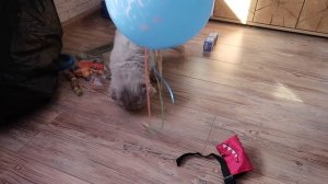 У НАС РОДИЛАСЬ ДОЧА