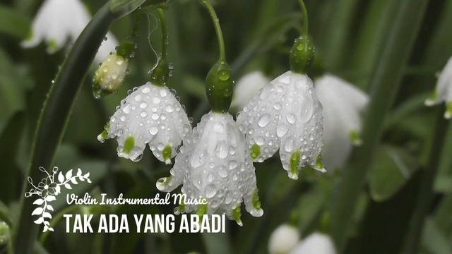 VIOLIN INSTRUMENTAL MUSIC - Tak Ada Yang Abadi смотреть онлайн
