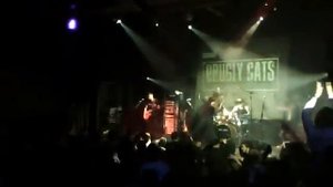 Drugly Cats - Red Blue Warriors