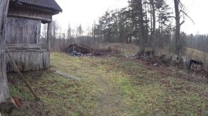 2 недели без сигарет