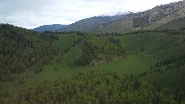 Тюнгур. Алтай весной