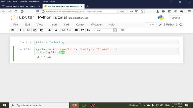 List Indexing In Python | Python 4 You | Lecture 93