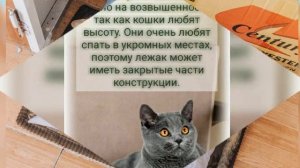 Как сделать место для сна кошки комфортным.