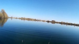 Японские воблеры на щуку ZipBaits твич /рыбалка на щуку осенью с лодки / ловля щуки видео